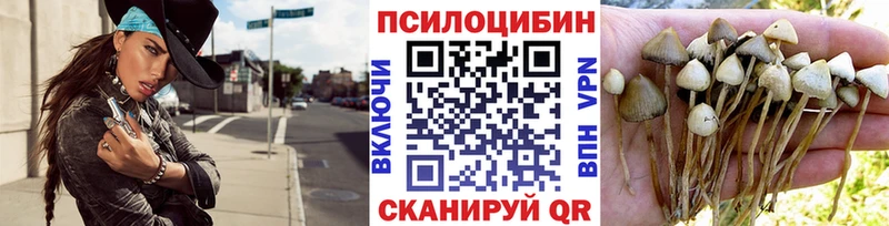 Галлюциногенные грибы Psilocybe  hydra как зайти  Кемь 